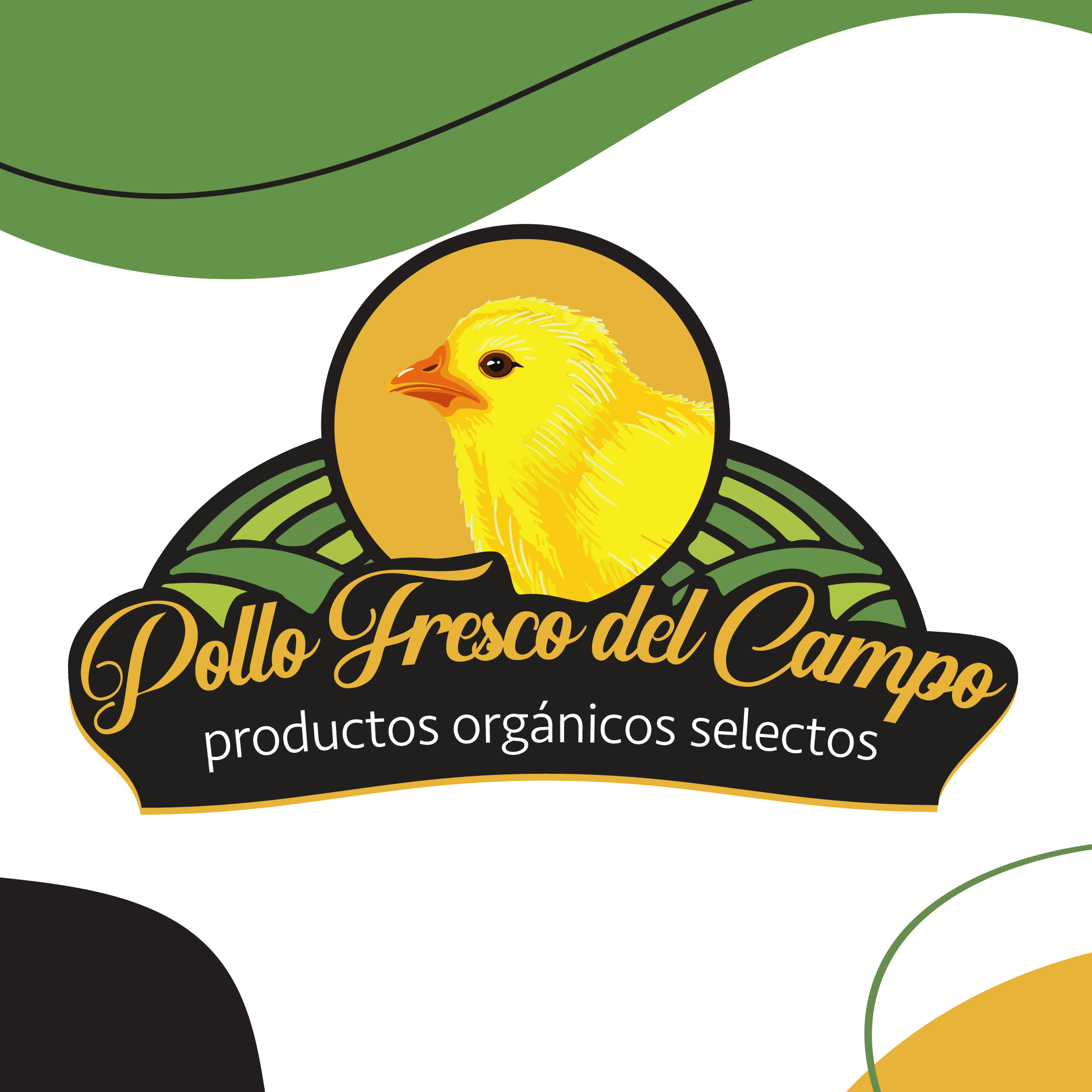 client logo 15